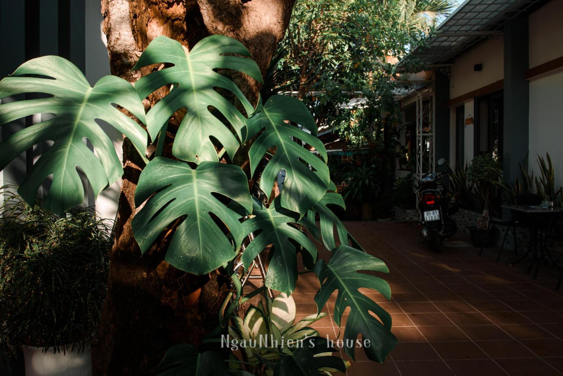 Ngaunhien'S House - Homestay Phan Rang Exterior photo